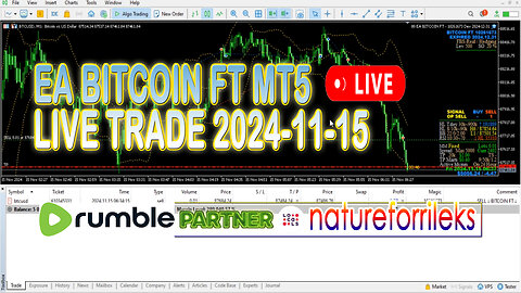 LIVE TRADE EA BITCOIN FT MT5 2024-11-15