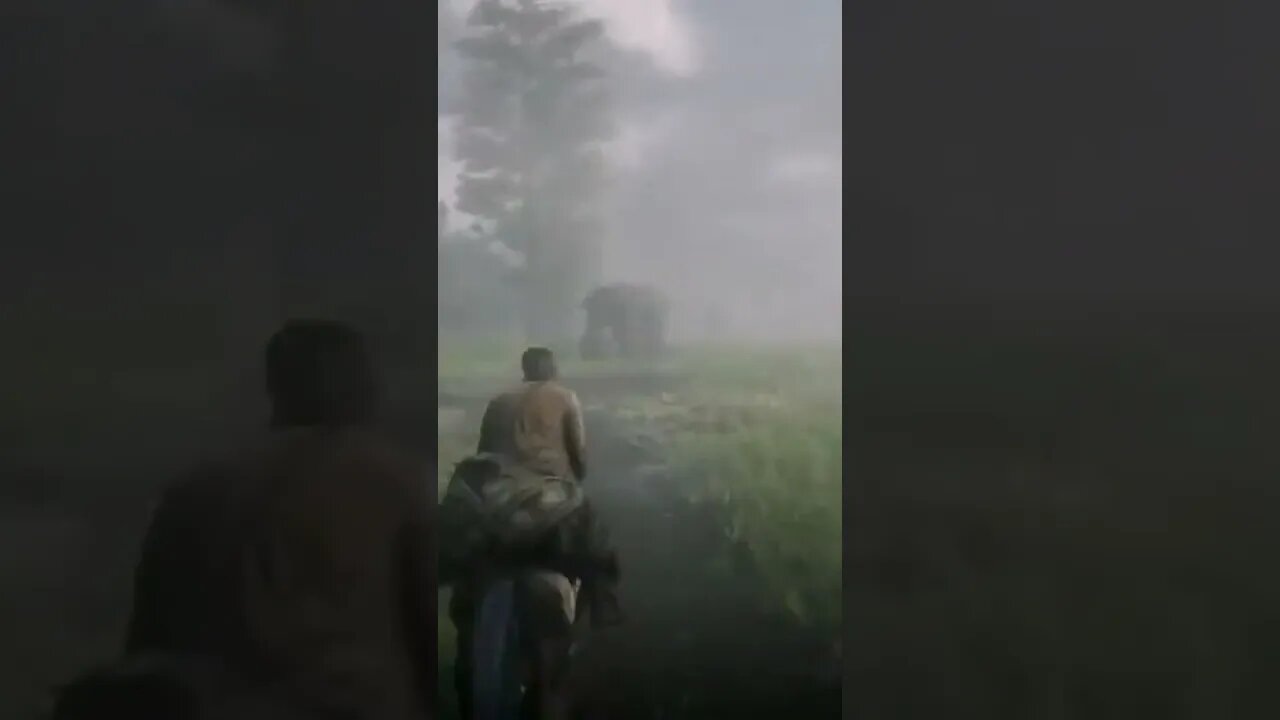 RED DEAD REDEMPTION 2: CAVALGANDO PELOS VERDES CAMPOS #shorts
