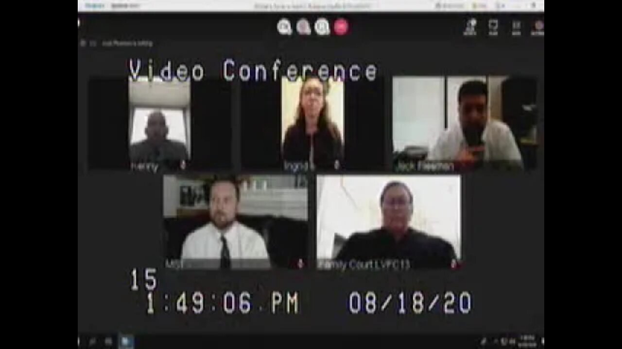 Rodriguez & Turner matter before Cheryl Moss Family Court Judge Clark County 8/18/20