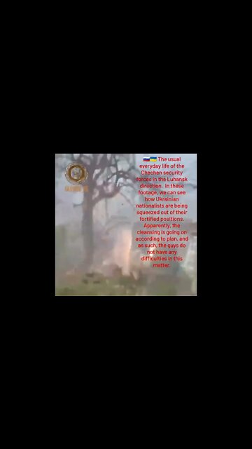 Everyday Life Of Chechen Special Forces In The Luhansk Direction Pt.2! Follow @Kadyrov_95 For More!
