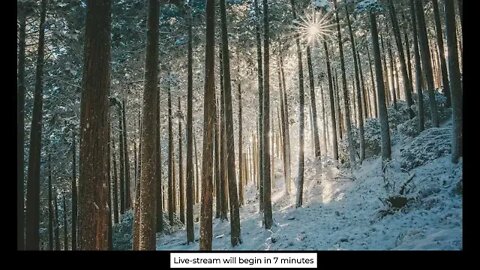 In Name Only: Sunday AM Service