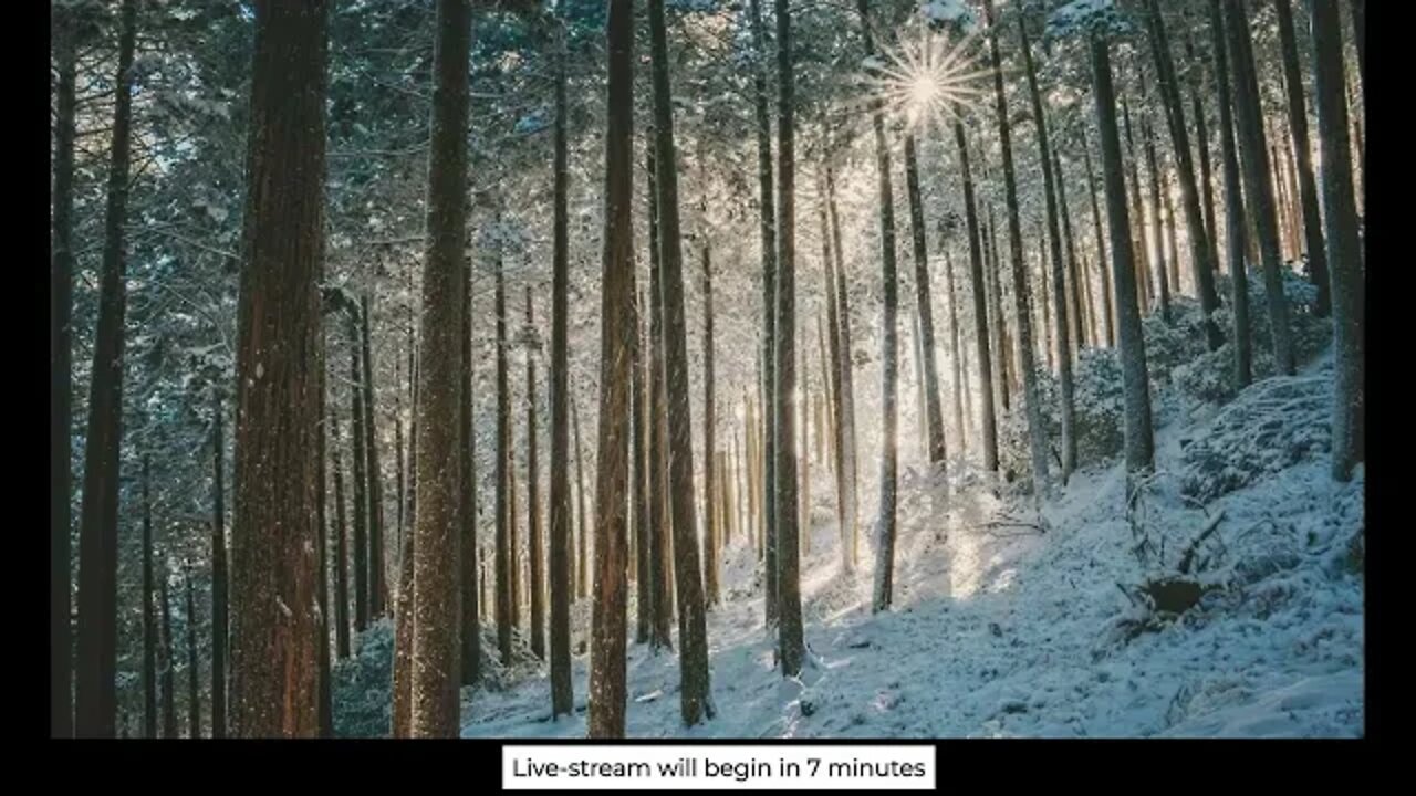 In Name Only: Sunday AM Service