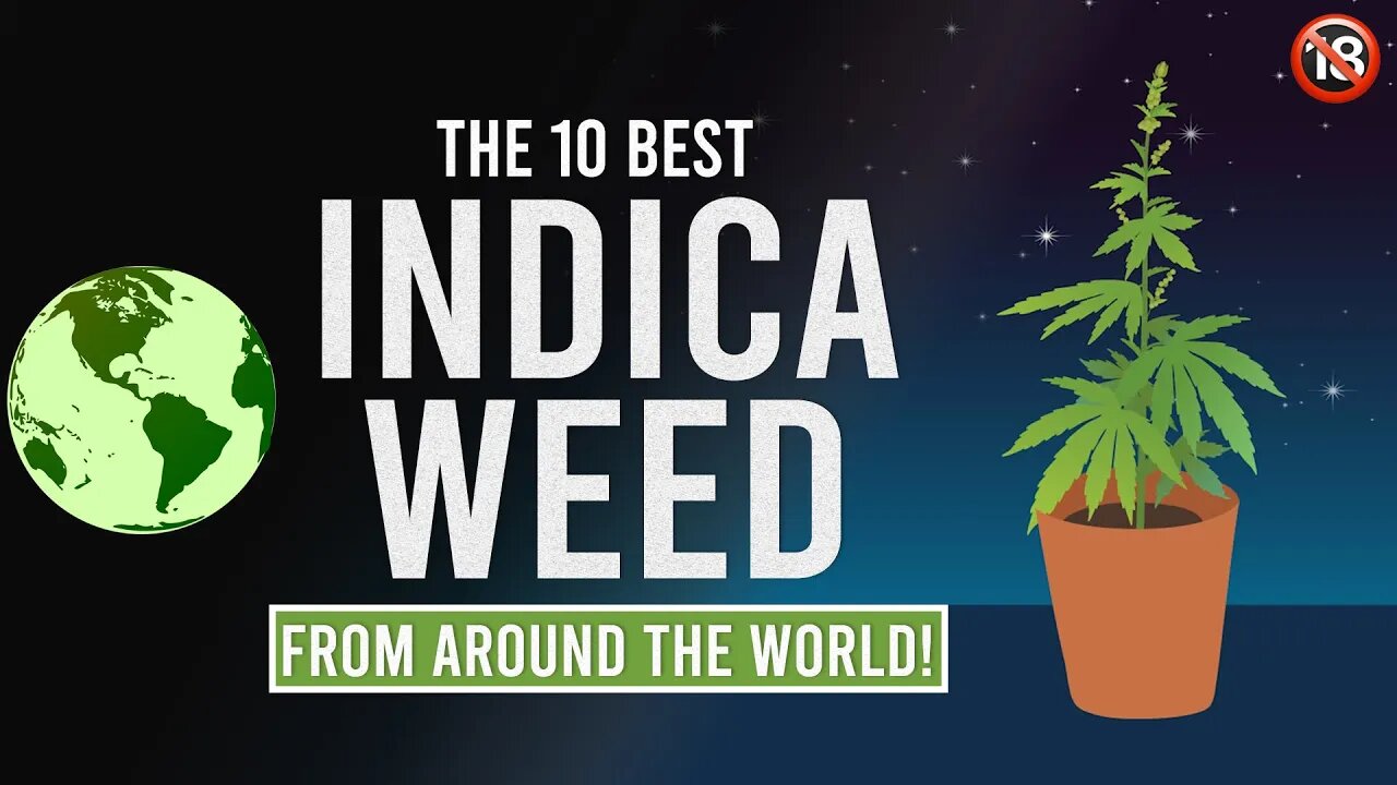 The BEST INDICA WEED STRAINS from around the World!