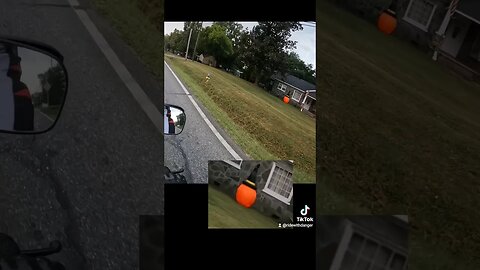 Happy Halloween! #BikeLife