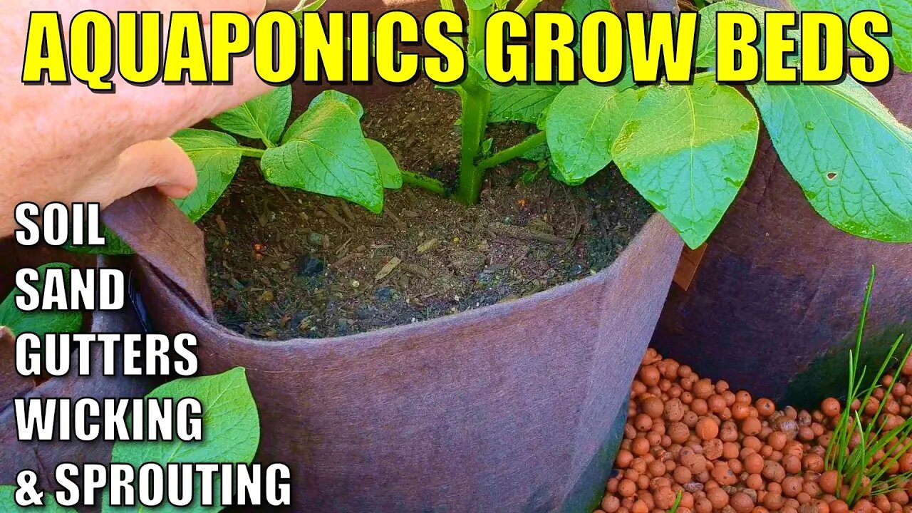 5 Aquaponics Grow Bed Ideas | Soil - Wicking - Sand - Gutter Beds - Sprouting Grain