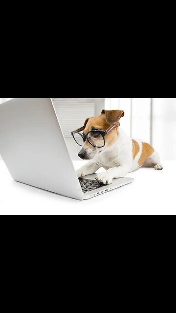 Most Funniest Animals - Best Cats😹 & Dogs🐶 Videos of 2023 Compilation! #18