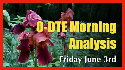 0-DTE Morning Analysis - June 3rd