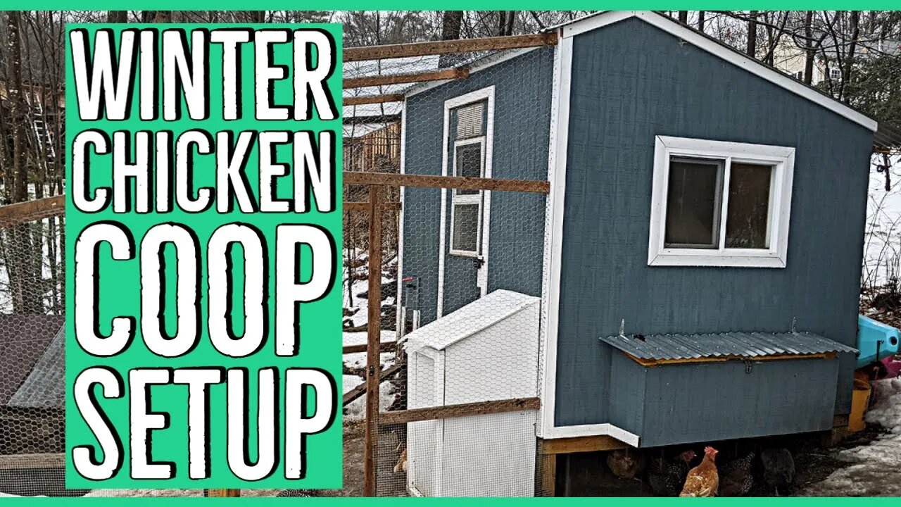 Our Winter Chicken Coop Setup