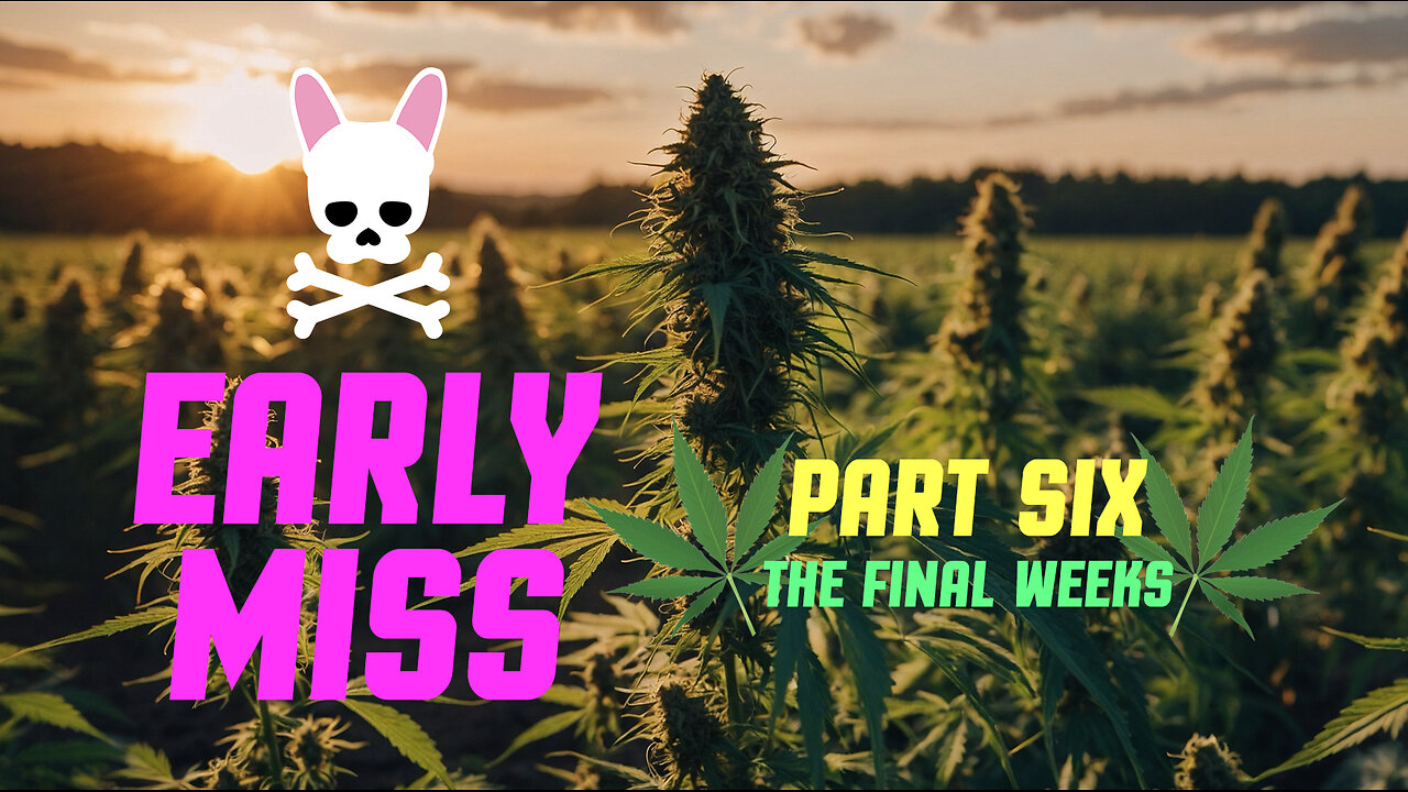 Early Miss - Episode Six - Spider Farmer SF2000 Complete Grow Tent Kit