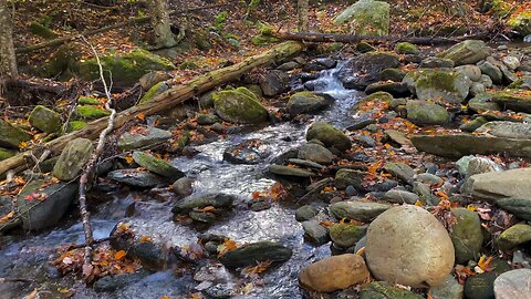 Falls Brook, Stowe Vermont