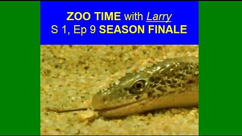 ZOO TIME with Larry (S 1, Ep 9 SEASON FINALE) 🎶