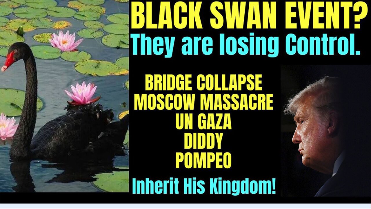 Melissa Redpill Update Today Mar 26: "Black Swan - Bridge Collapse, Diddy, Moscow, Assange"