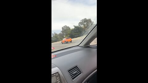 Bird vs Honda