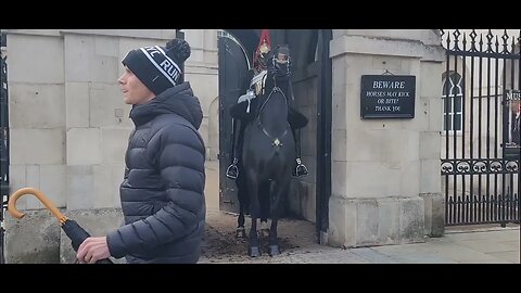 Horse backs it's self in to the box #horseguardsparade
