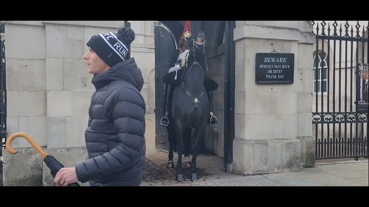 Horse backs it's self in to the box #horseguardsparade