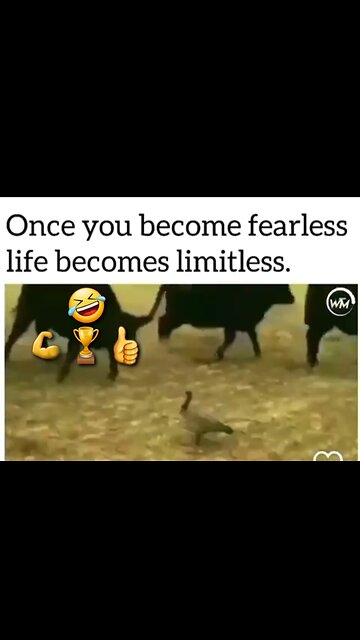 YOU ARE WHAT YOU BELIEVE YOU ARE, THIS IS CUTE 🤣