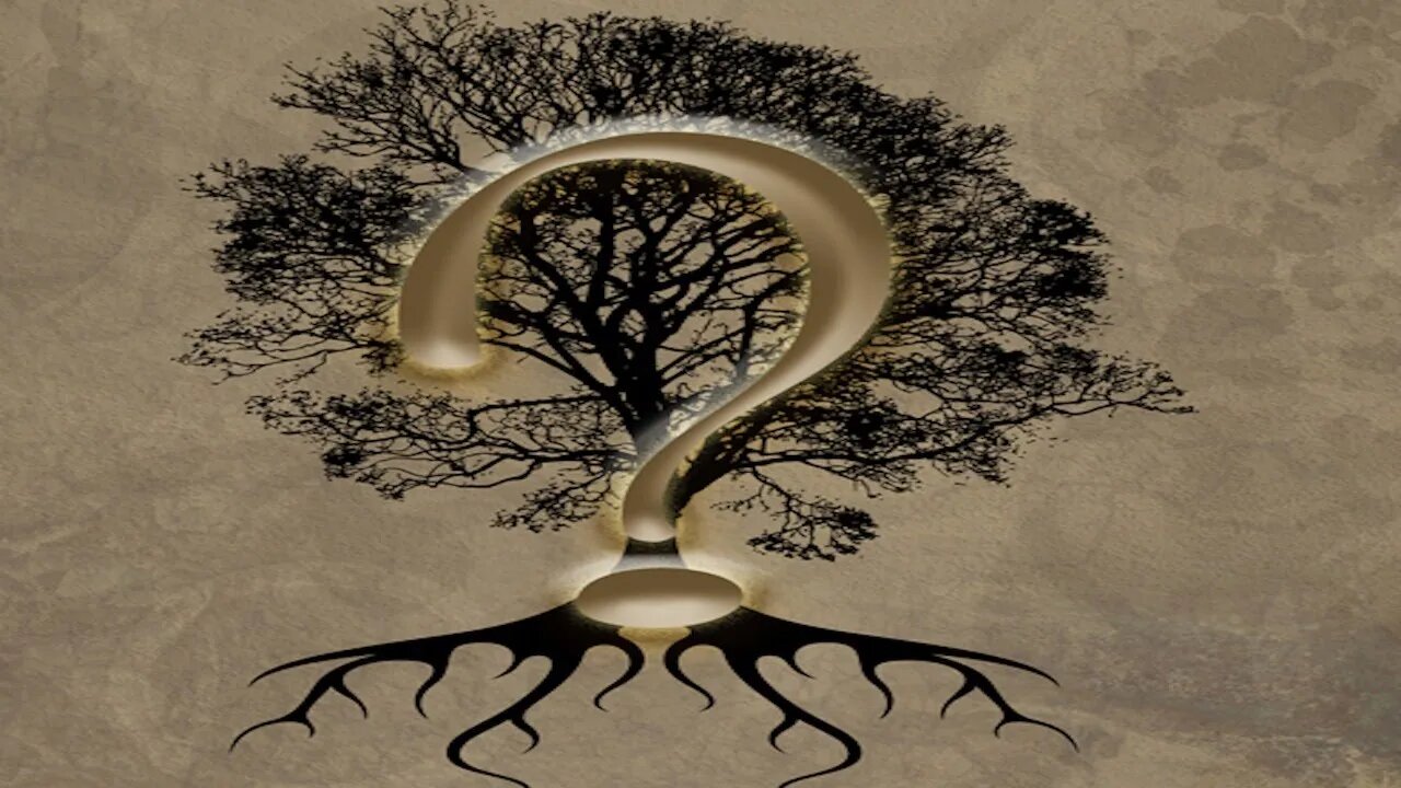 In Order to Grow We have to Heal