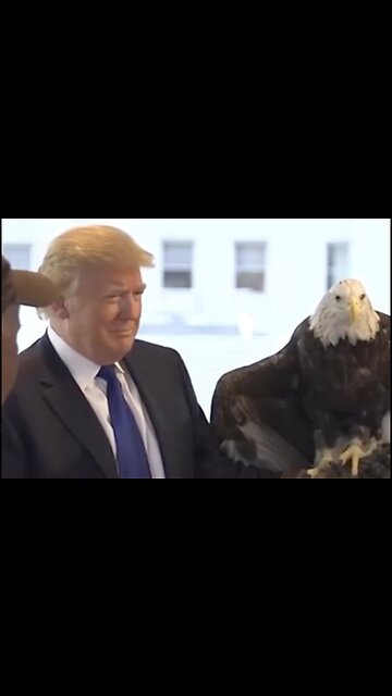 Trump + Bald Eagle = ‘Merica 🦅🇺🇸