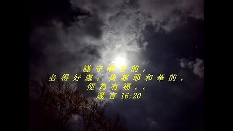 今天的每日聖經經文Jīntiān de měi rì shèngjīng jīng wén