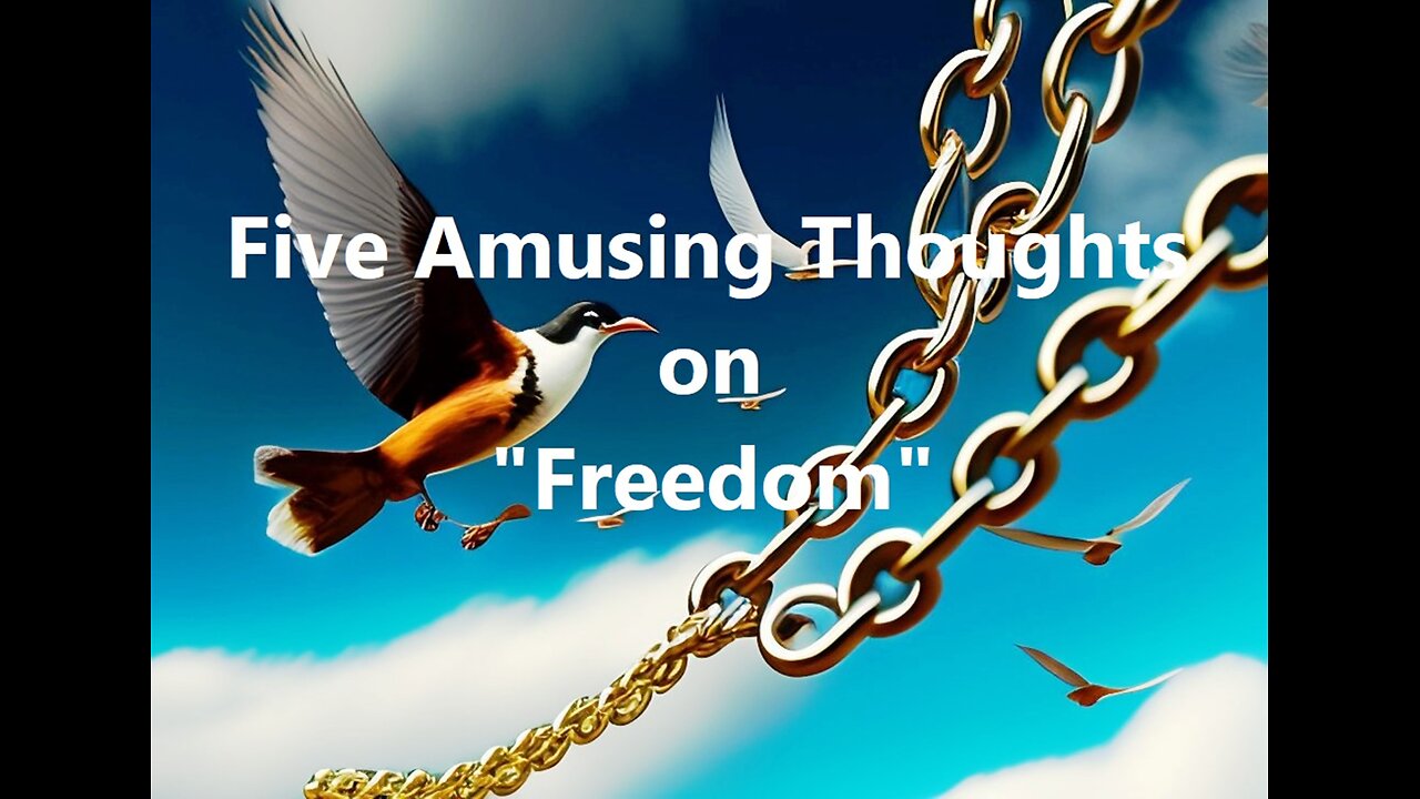 Five Amusing Thoughts on "Freedom"