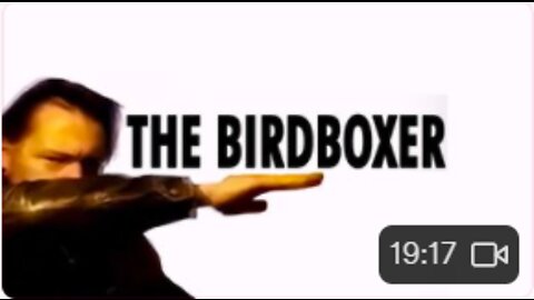 The Birdboxer