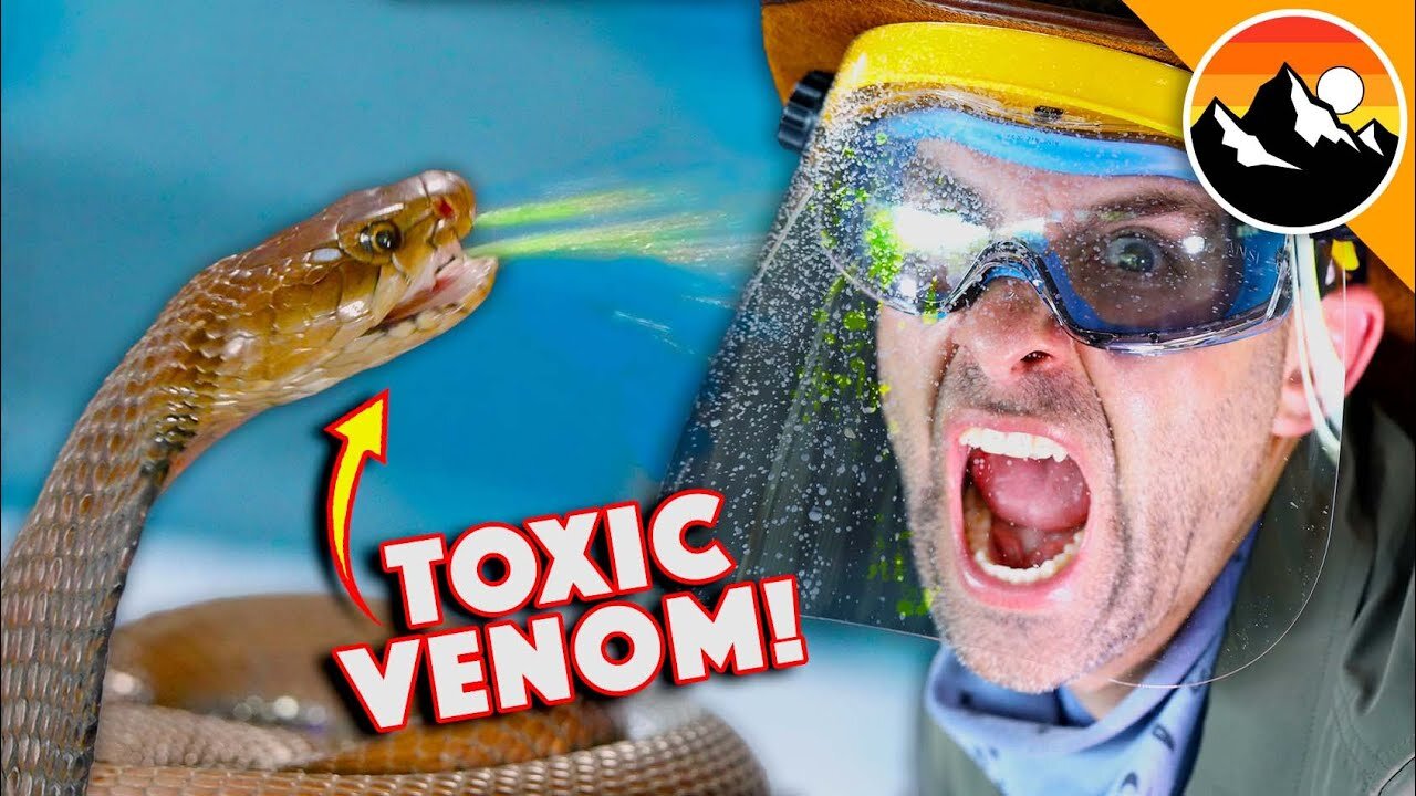 Spitting Cobra vs My Face!