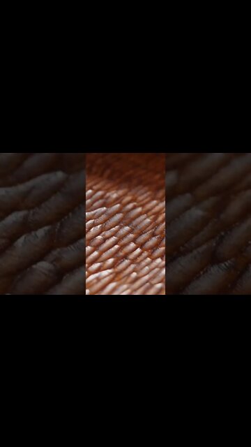 The Best ASMR video | #shorts