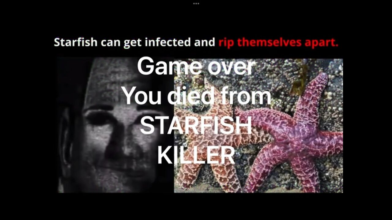 POV your a starfish