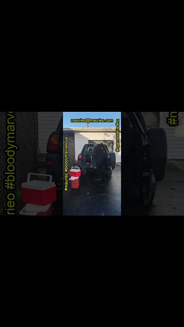 maurieo #shorts RETURN OF THE #SMOKOKING