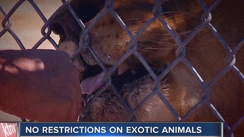 CONTACT 13: Nevada law allows for dangerous,exotic animals