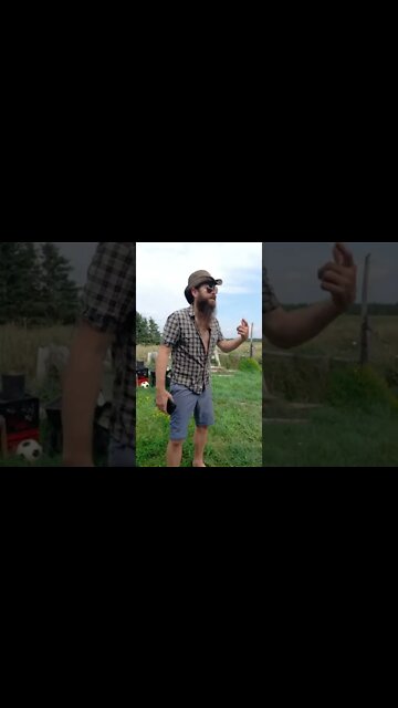 #skitsbystrangedanimal