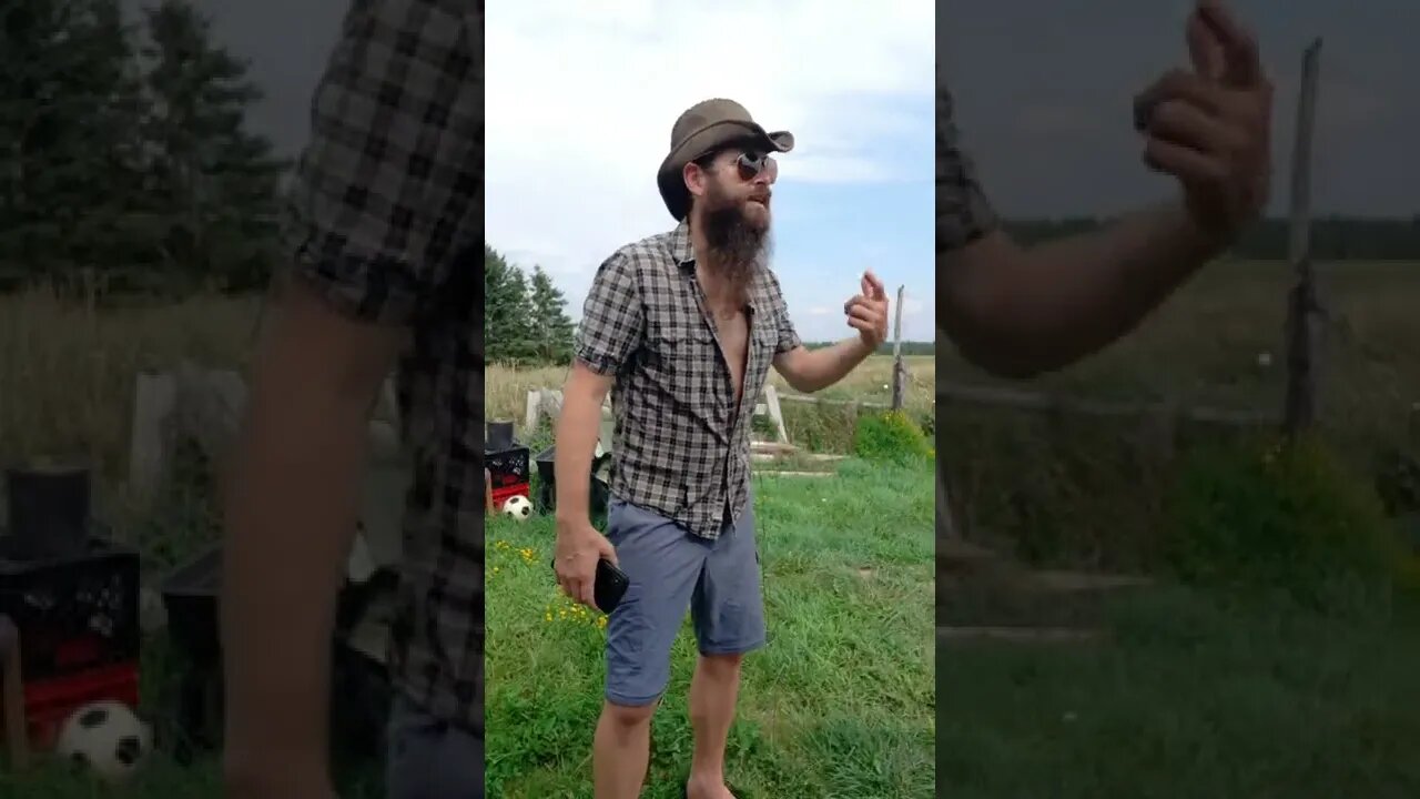 #skitsbystrangedanimal