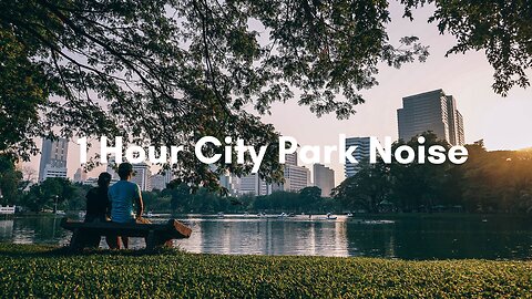 Immerse Yourself in the Blissful Atmosphere of a City Park for an Hour