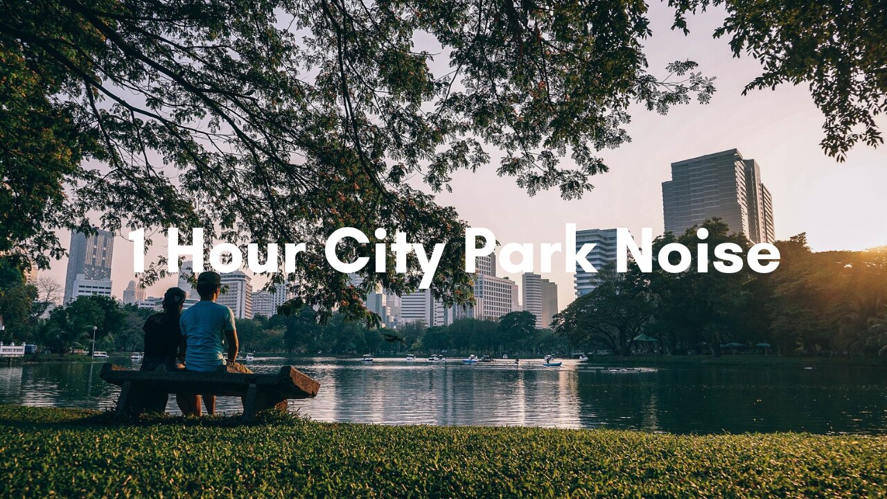 Immerse Yourself in the Blissful Atmosphere of a City Park for an Hour
