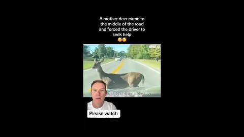 Deer seeking for help