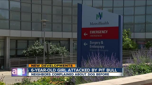6-year-old girl critically injured after dog attack, dog shot by owner