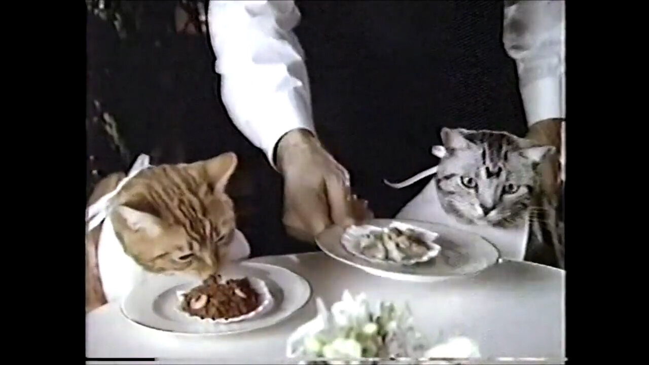 July 7, 1989 - These Cats Eat at Only the Finest Joints