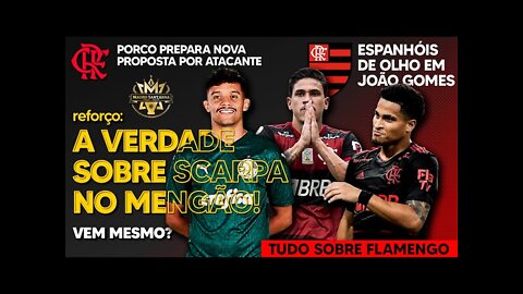 DE SAÍDA? A VERDADE SOBRE PEDRO! SCARPA NA MIRA DO FLAMENGO | ESPANHÓIS DE OLHO EM JOIA MILIONÁRIA