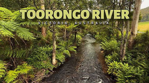 Tooronga River - Victoria Australia