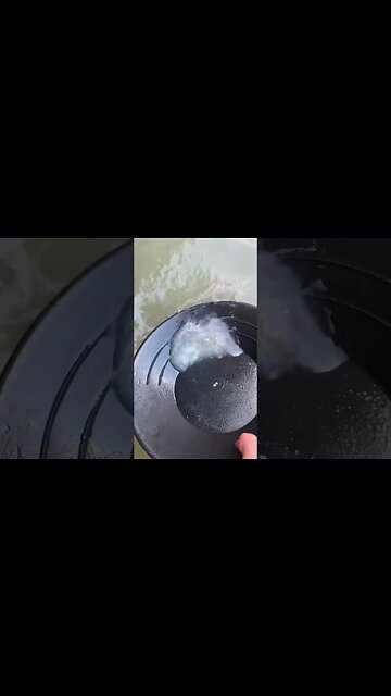 There is so much gold in this creek!