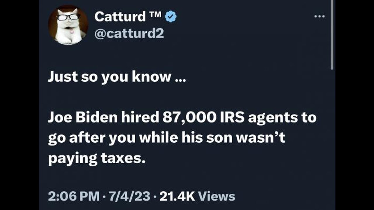 Hunter Biden Tax Return Had Lies Relating To Payments For Prostitutes, Sex Clubs: IRS Whistleblower