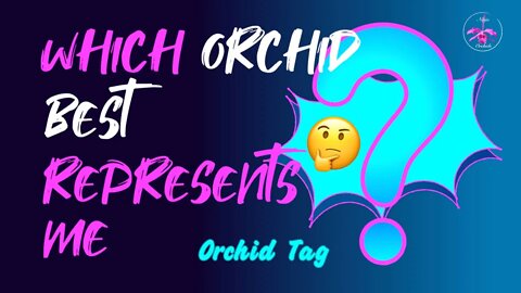 💥NEW!!! 💥ORCHID TAG!💥 Which orchid best represents me?💥 #thisorchidbestrepresentsme