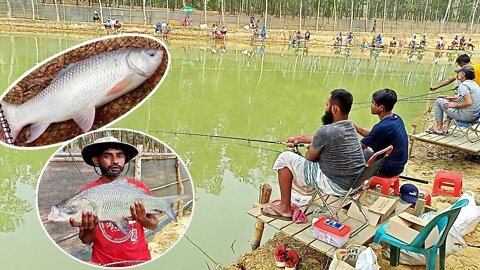 টিকিটে বড় বড় রুই কাতলা মাছ ধরা/ Fishing competition by hook