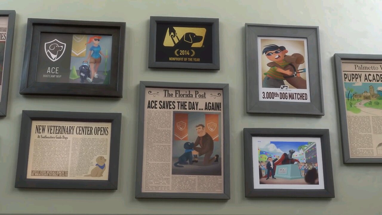 Pip A short Animated film
