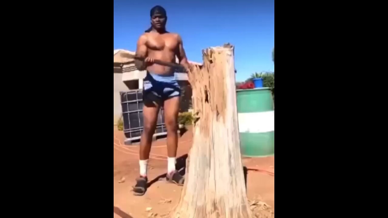 Slapstick comedy reality…
