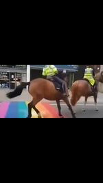 POLICE HORSES DON'T LIKE LGBT FLAG!🤣 - Feb 2023