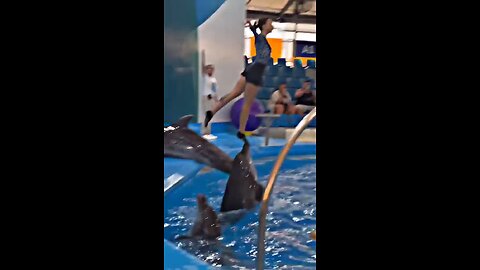 wow 😃🐬🐬🐬💯🔥