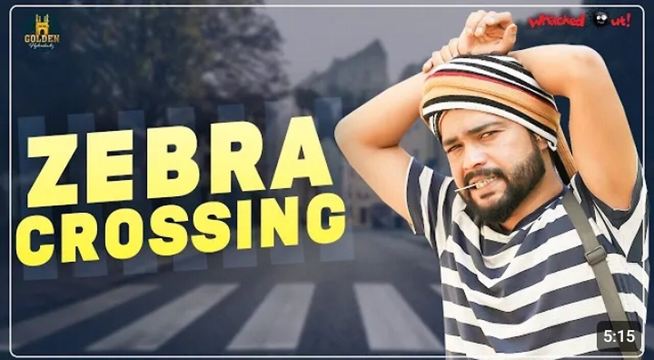 Zebra Crossing// Funny video