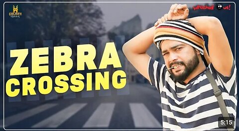 Zebra Crossing// Funny video