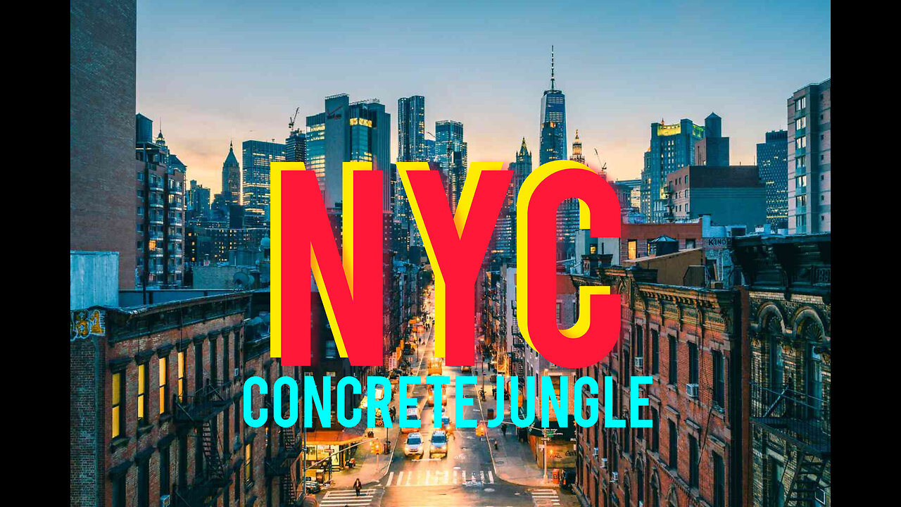 Exploring the Heart of the Concrete Jungle: A Journey Through New York City